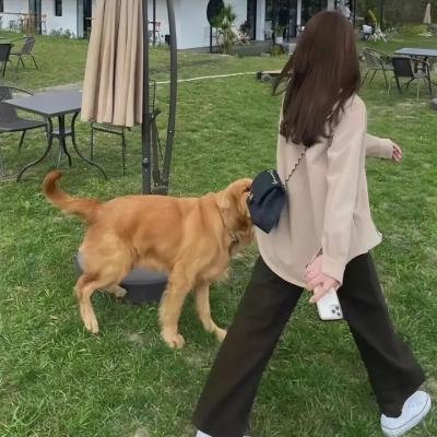 月亮女孩